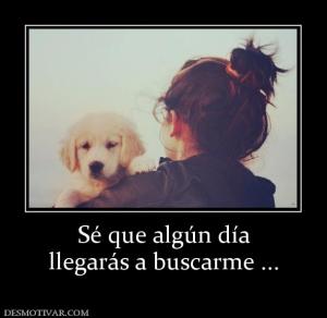 Sé que algún día llegarás a buscarme ...