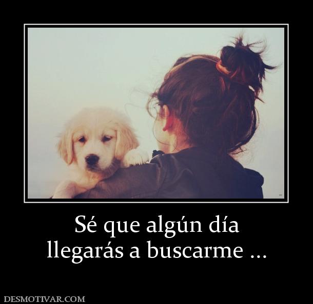 Sé que algún día llegarás a buscarme ...