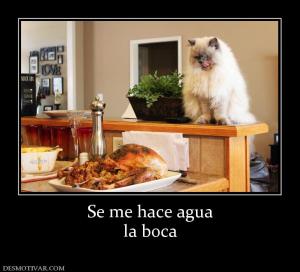 Se me hace agua la boca
