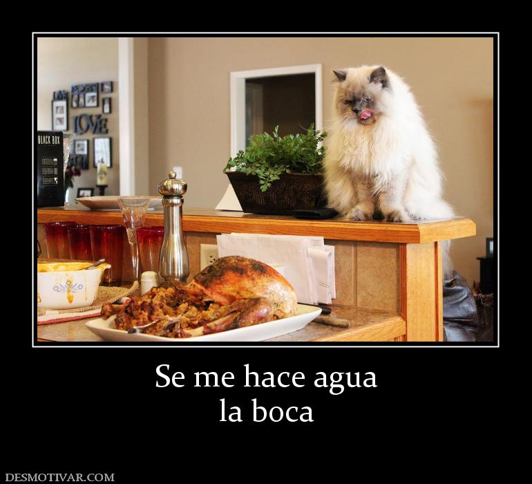 Se me hace agua la boca