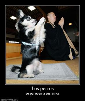 Los perros se parecen a sus amos