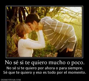 No sé si te quiero mucho o poco. No sé si te quiero por ahora o para siempre. Sé que te quiero y eso es todo por el momento.