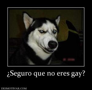 ¿Seguro que no eres gay?