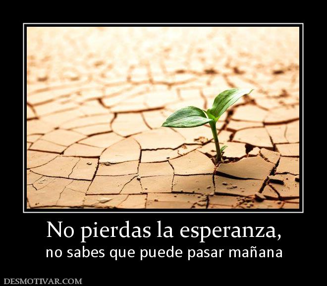 No pierdas la esperanza, no sabes que puede pasar mañana