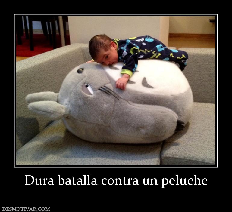 Dura batalla contra un peluche