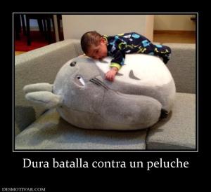 Dura batalla contra un peluche