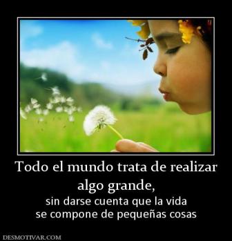 Todo el mundo trata de realizar algo grande, sin darse cuenta que la vida se compone de pequeñas cosas