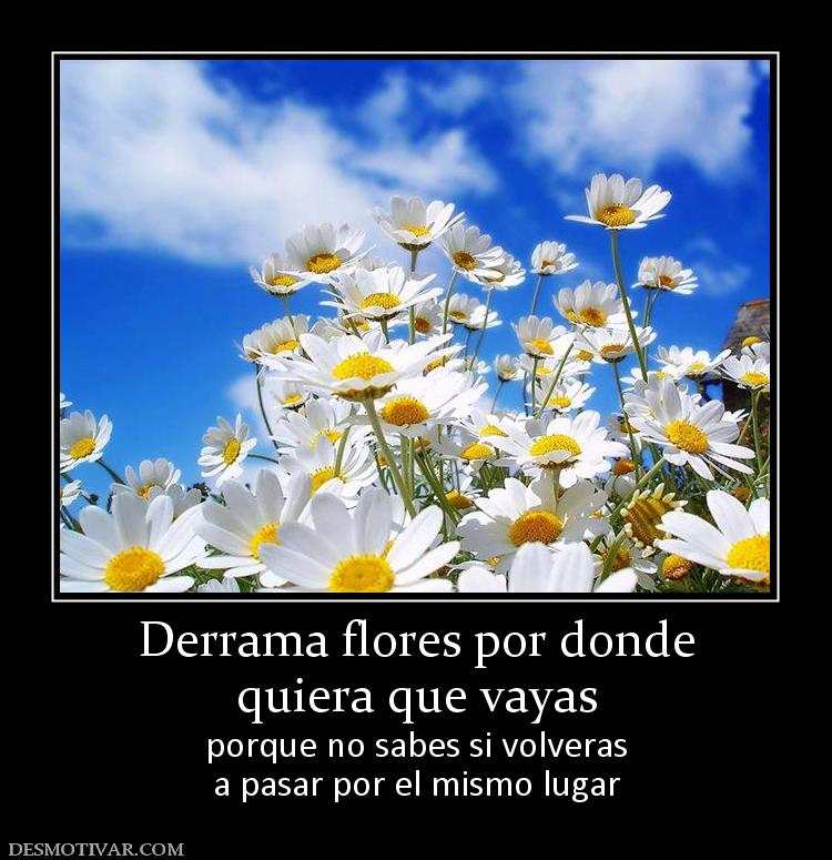 Derrama flores por donde quiera que vayas porque no sabes si volveras a pasar por el mismo lugar