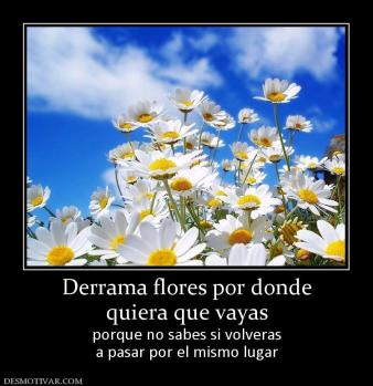 Derrama flores por donde quiera que vayas porque no sabes si volveras a pasar por el mismo lugar