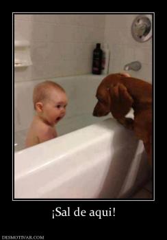 ¡Sal de aqui!