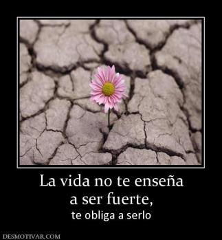 La vida no te enseña a ser fuerte,  te obliga a serlo