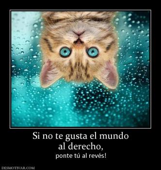 Si no te gusta el mundo al derecho, ponte tú al revés!