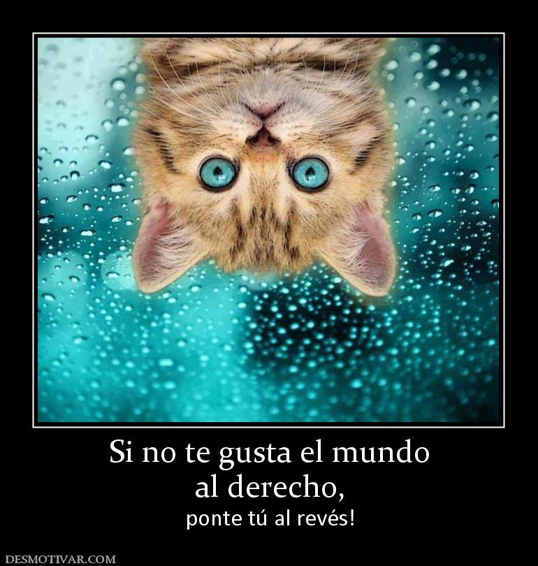 Si no te gusta el mundo al derecho, ponte tú al revés!