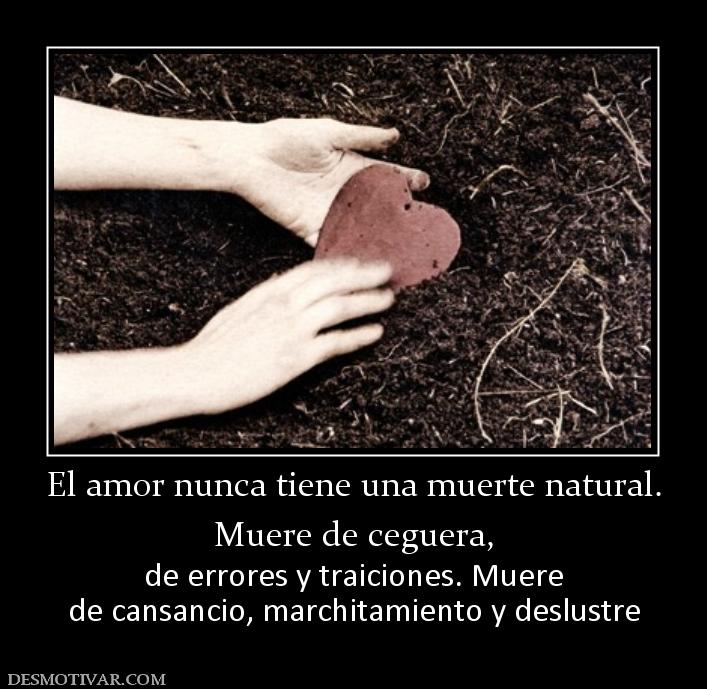 El amor nunca tiene una muerte natural Muere de ceguera,  de errores y traiciones. Muere de cansancio, marchitamiento y deslustre