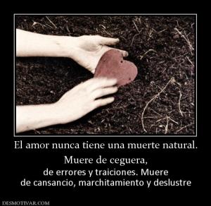 El amor nunca tiene una muerte natural Muere de ceguera,  de errores y traiciones. Muere de cansancio, marchitamiento y deslustre