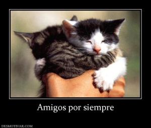 Amigos por siempre