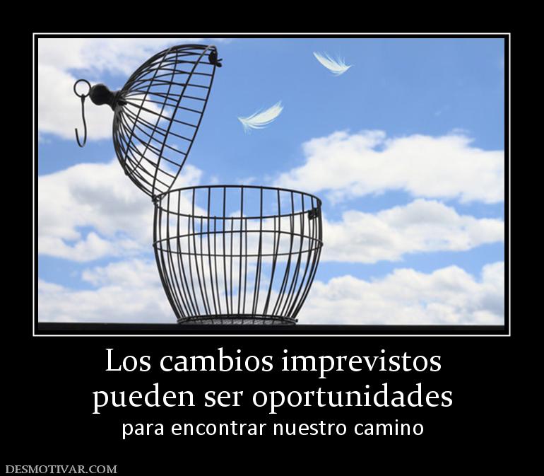 Los cambios imprevistos pueden ser oportunidades para encontrar nuestro camino