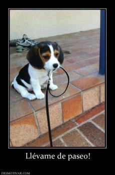 Llévame de paseo!