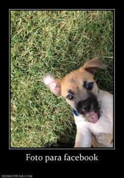 Foto para facebook