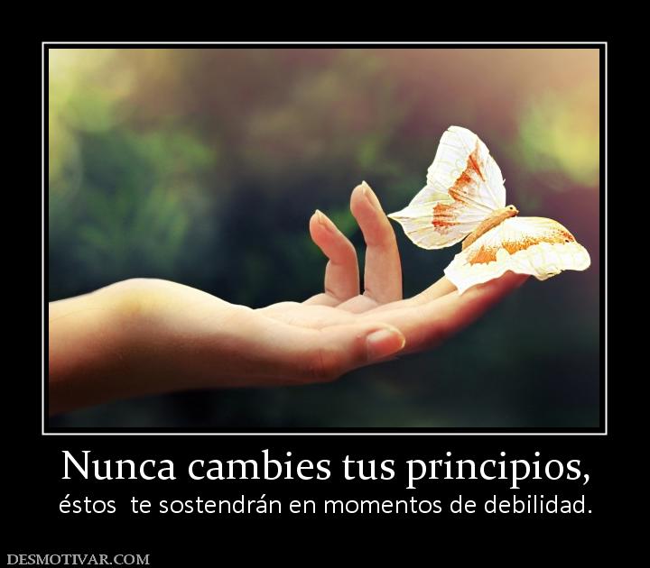 Nunca cambies tus principios, éstos  te sostendrán en momentos de debilidad.