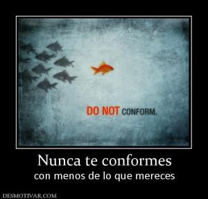 Nunca te conformes con menos de lo que mereces