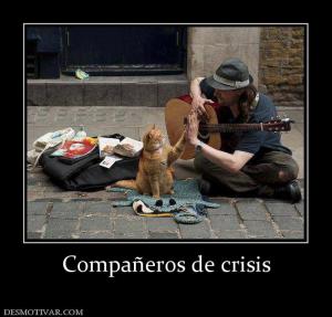 Compañeros de crisis