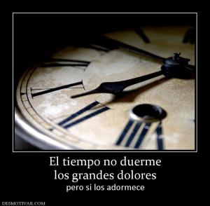 El tiempo no duerme los grandes dolores pero sí los adormece