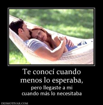 Te conocí cuando menos lo esperaba,  pero llegaste a mi cuando más lo necesitaba