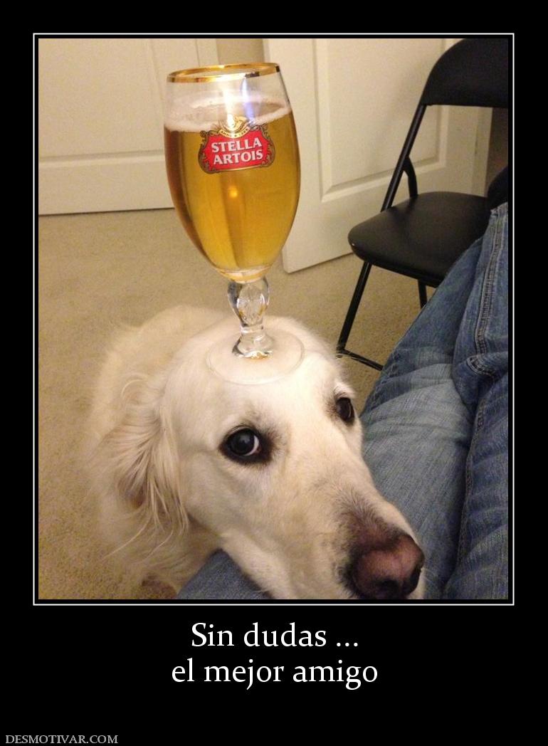 Sin dudas ... el mejor amigo