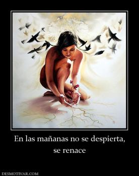 En las mañanas no se despierta, se renace