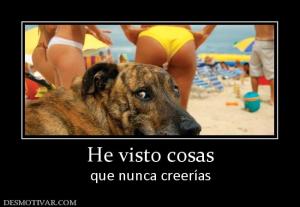 He visto cosas que nunca creerías