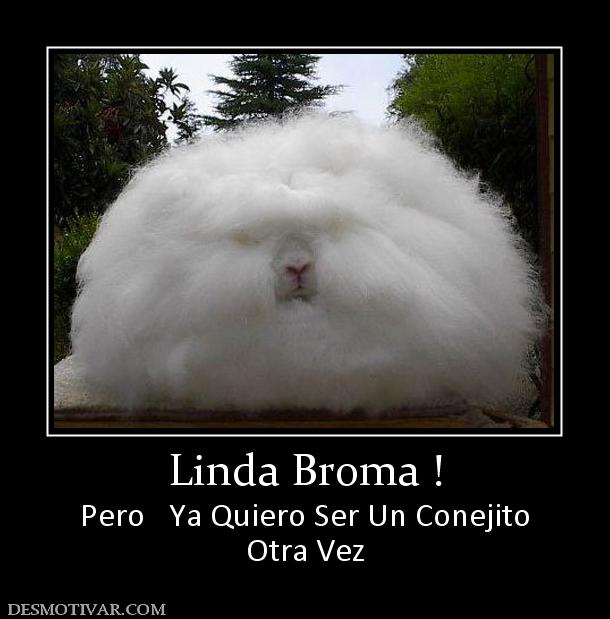 Linda Broma ! Pero   Ya Quiero Ser Un Conejito Otra Vez