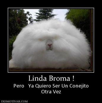 Linda Broma ! Pero   Ya Quiero Ser Un Conejito Otra Vez