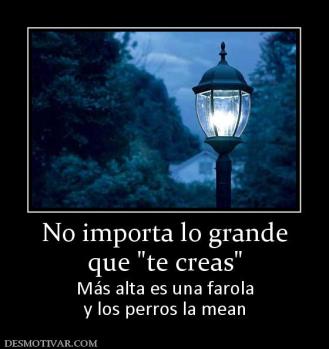No importa lo grande que  Más alta es una farola y los perros la mean