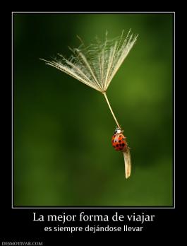 La mejor forma de viajar es siempre dejándose llevar