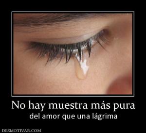 No hay muestra más pura del amor que una lágrima