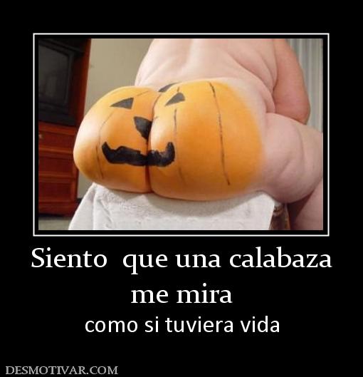Siento  que una calabaza me mira como si tuviera vida