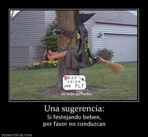 Una sugerencia: Si festejando beben, por favor no conduzcan