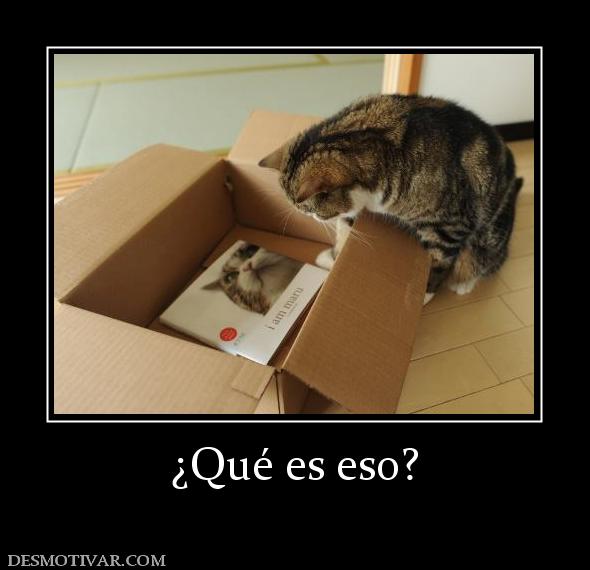 ¿Qué es eso?