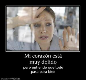Mi corazón está muy dolido pero entiendo que todo pasa para bien