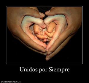 Unidos por Siempre
