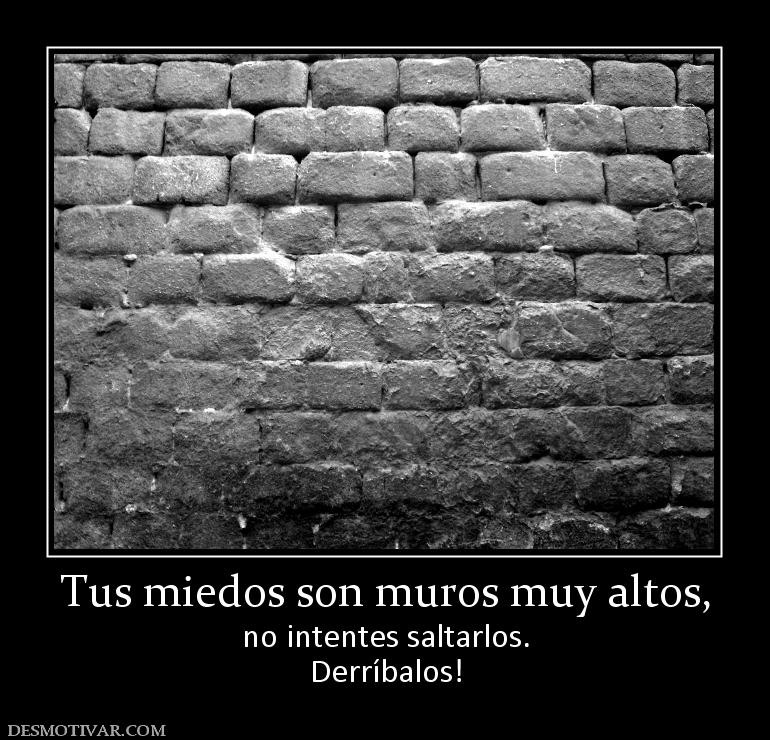 Tus miedos son muros muy altos, no intentes saltarlos. Derríbalos!