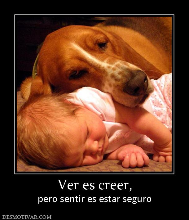 Ver es creer, pero sentir es estar seguro