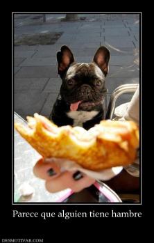 Parece que alguien tiene hambre