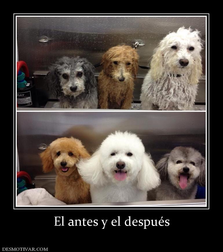 El antes y el después