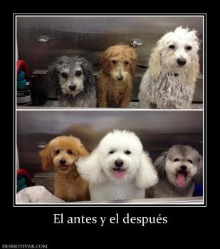 El antes y el después