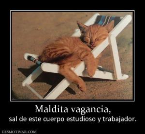 Maldita vagancia, sal de este cuerpo estudioso y trabajador.