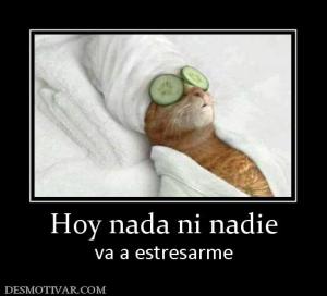 Hoy nada ni nadie va a estresarme