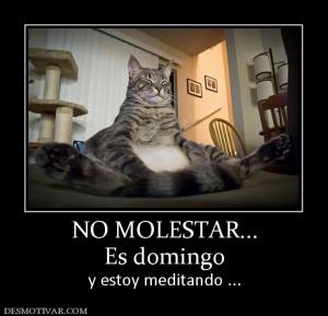 NO MOLESTAR... Es domingo y estoy meditando ...