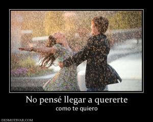 No pensé llegar a quererte como te quiero